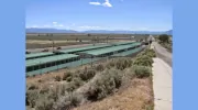 Carson Valley/Tahoe Self Storage