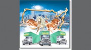 Ben Hur Moving & Storage