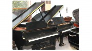 The Piano Mover