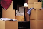 Small Move Experts